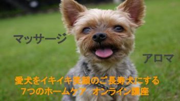 愛犬をイキイキ笑顔のご長寿犬にする７つのレッスン
